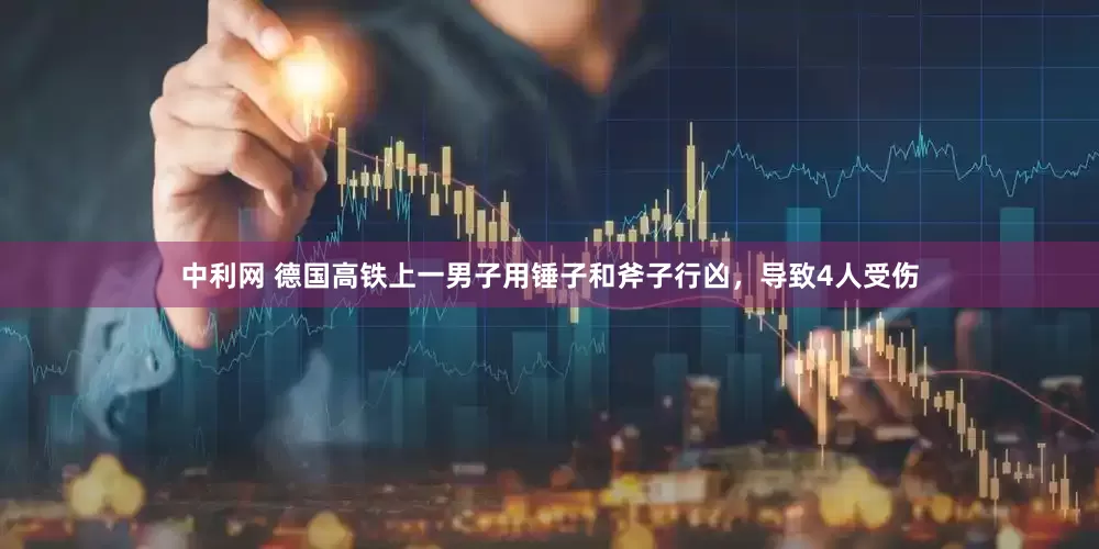 中利网 德国高铁上一男子用锤子和斧子行凶，导致4人受伤