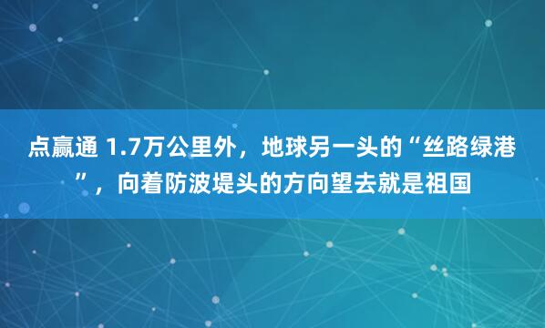 点赢通 1.7万公里外，地球另一头的“丝路绿港”，向着防波堤头的方向望去就是祖国