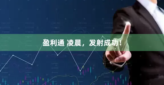 盈利通 凌晨，发射成功！