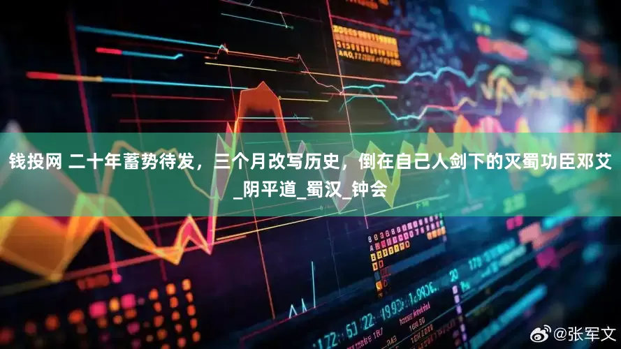 钱投网 二十年蓄势待发，三个月改写历史，倒在自己人剑下的灭蜀功臣邓艾_阴平道_蜀汉_钟会