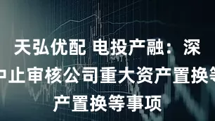 天弘优配 电投产融：深交所中止审核公司重大资产置换等事项