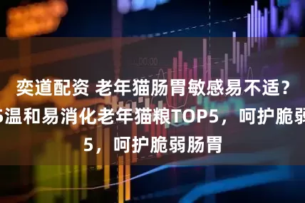 奕道配资 老年猫肠胃敏感易不适？2025温和易消化老年猫粮TOP5，呵护脆弱肠胃