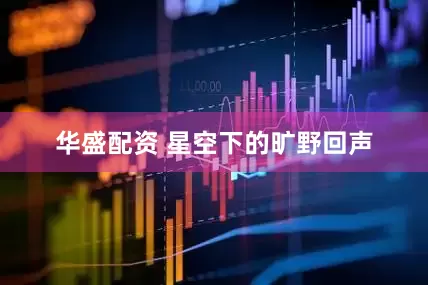华盛配资 星空下的旷野回声